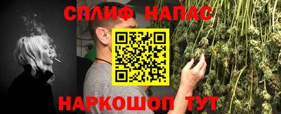 крисы Заводоуковск