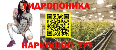 крисы Заводоуковск