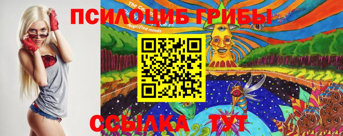 Псилоцибиновые грибы Psilocybe  Вход с VPN  Волхов 